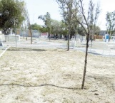 Remozan plaza de Valle de Bravo
