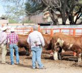 Inseguridad afecta también a ganaderos en Reynosa