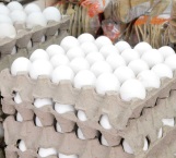 Vigilarán la venta de huevo por el precio