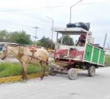 En pleno Siglo 21 se sigue utilizando caballos como motor en carretones