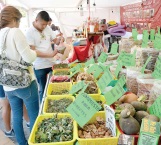 Exponen los productos de Oaxaca y Chiapas en stands