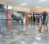 Falsa amenaza de bomba en aeropuerto ocasiona movilización