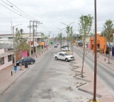 Podan árboles de ‘La Calle del Taco’ por interferir la energía