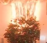 Advierten accidentes con árboles y luces navideños