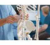 Recomendaciones para cuidar la estructura ósea