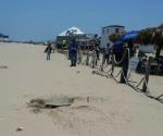 Ante miles de bañistas arriban tortugas Lora a Playa Miramar