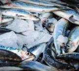 Ocho marcas de sardinas incumplen contenido y normas, según Profeco