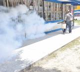 Fumigan planteles contra el dengue