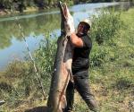 Pescan enorme catán en el río Bravo