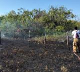 Han incendiado más de 30 hectáreas
