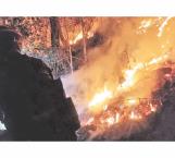 Combaten incendio forestal en Hidalgo