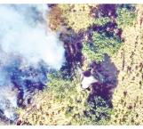 Provocan con drones incendios forestales